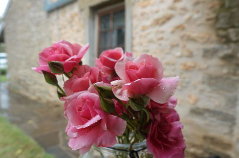 Amy\'s House Bed & Breakfast - Accommodation Georgetown 30