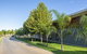 Paringa Resort - thumb 16