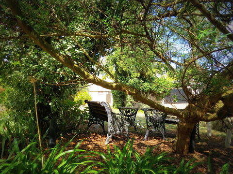 The Pig And Whistle - Accommodation Georgetown 4