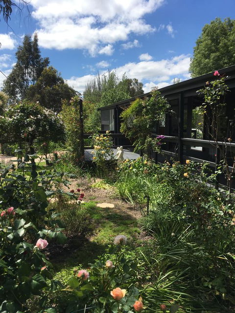 Hilltop Too - Accommodation Georgetown 4