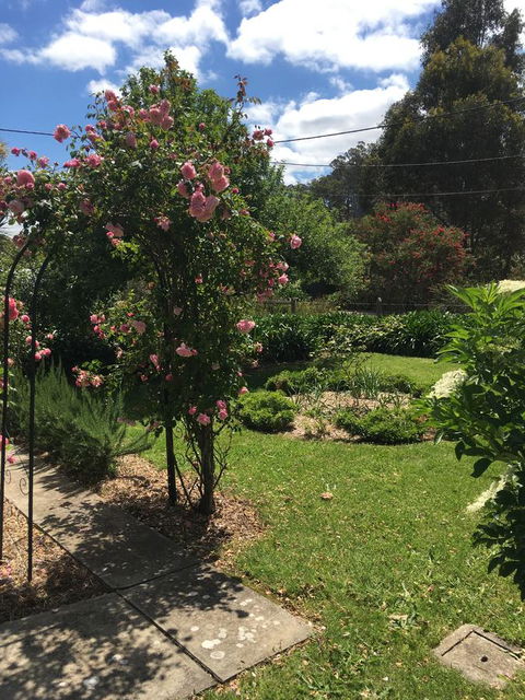 Hilltop Too - Accommodation Georgetown 13