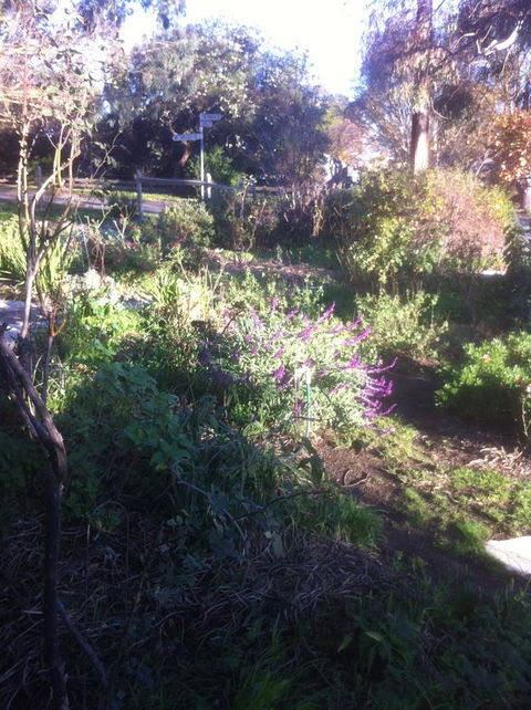 Hilltop Too - Accommodation Georgetown 12