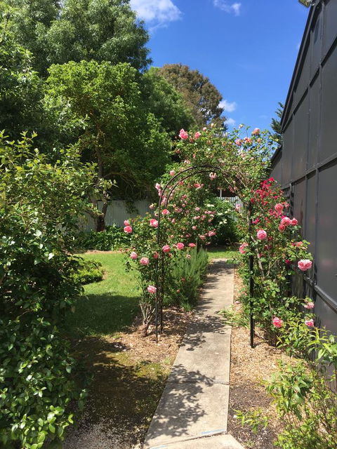 Hilltop Too - Accommodation Georgetown 5