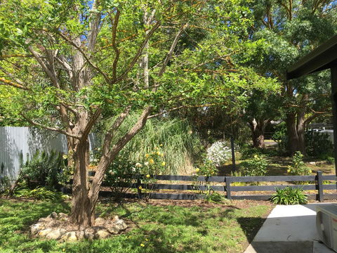 Hilltop Too - Accommodation Georgetown 7