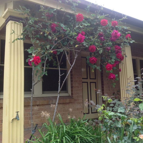 Oats Cottage - Accommodation Georgetown 3