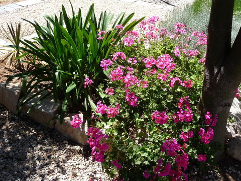 Country Bakehouse Accommodation - Accommodation Georgetown 18