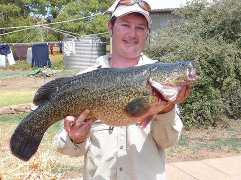 Country Bakehouse Accommodation - Accommodation Georgetown 20