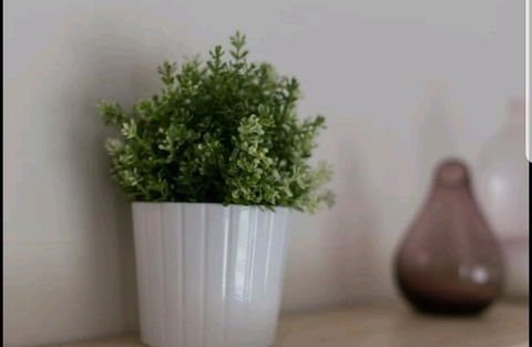 Belford Luxury * New * Clean * Cafes * Near CBD - Accommodation Georgetown 13