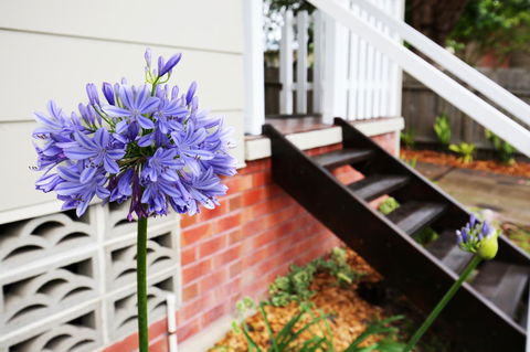Hudson Bay @ Basin View-Pet Friendly-15 Mins To Hyams Beach - Accommodation Georgetown 38