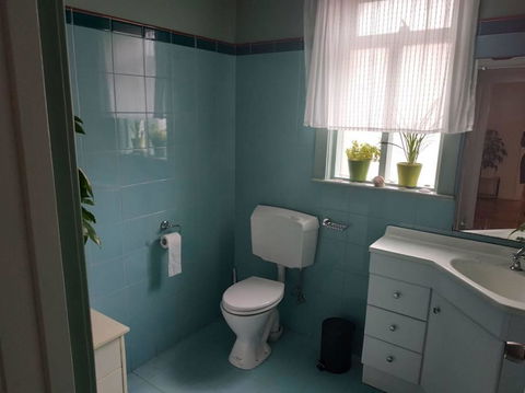 Diamond On Olive - Accommodation Georgetown 1