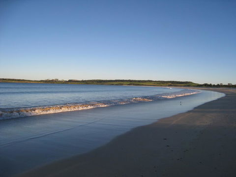 Pelicans Rest Shellharbour - Accommodation Georgetown 17