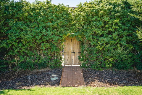 Mick O\'Sheas - Accommodation Georgetown 32