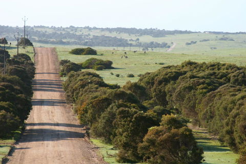 Almonta Park Lodge - Accommodation Georgetown 1