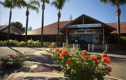 Vine Inn Barossa - Accommodation Georgetown 27