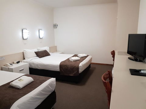 Vine Inn Barossa - Accommodation Georgetown 13