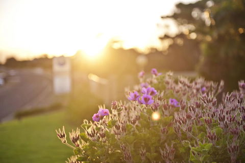 Kangaroo Island Seaside Inn - Accommodation Georgetown 33