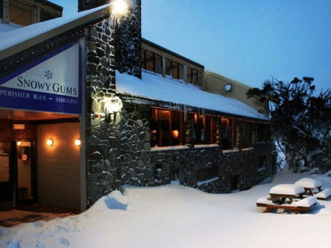 Snowy Gums Chalet - Accommodation Georgetown 5