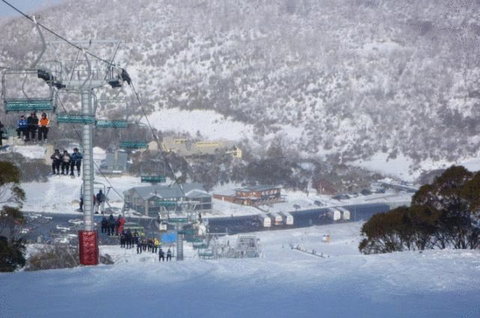 Snowy Gums Chalet - Accommodation Georgetown 7