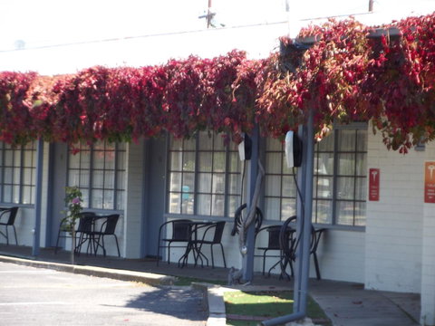 Guichen Bay Motel - Accommodation Georgetown 23