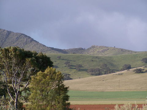 Burra Motor Inn - Accommodation Georgetown 32
