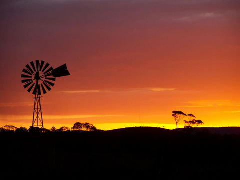 Burra Motor Inn - Accommodation Georgetown 38