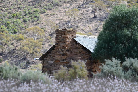Burra Motor Inn - Accommodation Georgetown 36