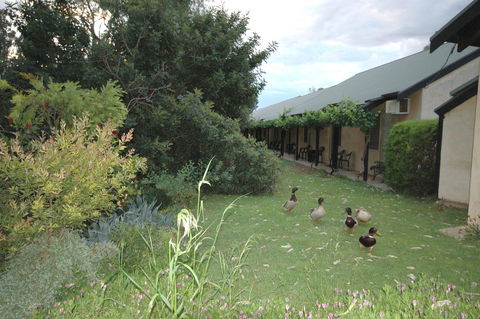 Burra Motor Inn - Accommodation Georgetown 24