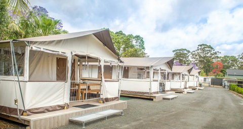 Jervis Bay Holiday Park - Accommodation Georgetown 6