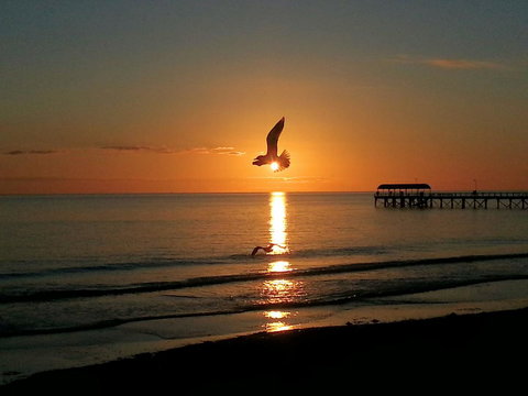 Adelaide Luxury Beach House - Accommodation Georgetown 37