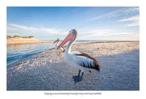 Adelaide Luxury Beach House - Accommodation Georgetown 25