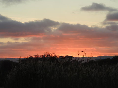 PS Federal Retreat Paddle Steamer Goolwa - Accommodation Georgetown 13