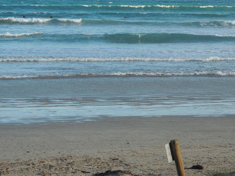 PS Federal Retreat Paddle Steamer Goolwa - Accommodation Georgetown 14