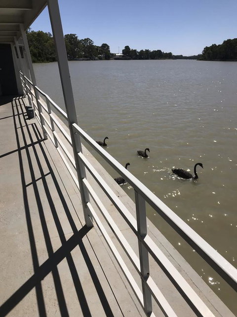 Murray River Queen - Accommodation Georgetown 7