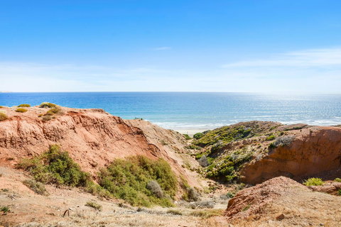 Salomon Sea Haus - Sellicks Beach - C21 SouthCoast Holidays - Accommodation Georgetown 1