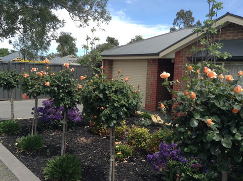C And C Tanunda - Accommodation Georgetown 1
