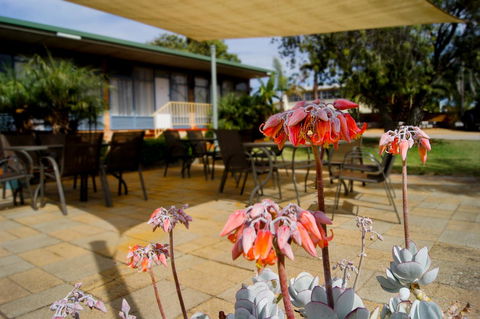 Kangaroo Island Seaview Motel - Accommodation Georgetown 3