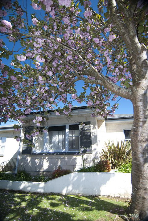 The Commodore - Accommodation Georgetown 14