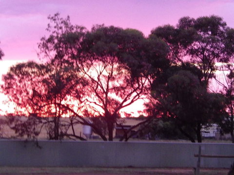 Wudinna Gawler Ranges Motel And Caravan Park - Accommodation Georgetown 11