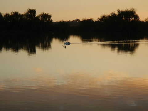 Washpool Retreat - Accommodation Georgetown 25