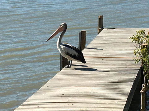 Washpool Retreat - Accommodation Georgetown 20