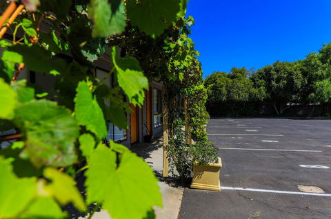 Country Roads Motor Inn Naracoorte - Accommodation Georgetown 16