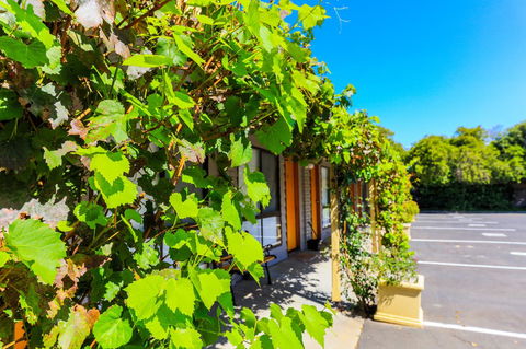 Country Roads Motor Inn Naracoorte - Accommodation Georgetown 18