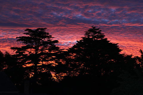 Pirralilla Estate Adelaide Hills - Accommodation Georgetown 26