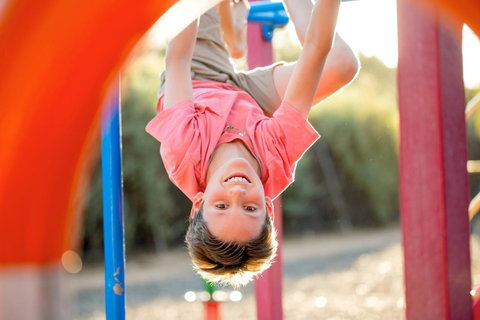 BIG4 Renmark Riverfront Holiday Park - Accommodation Georgetown 28