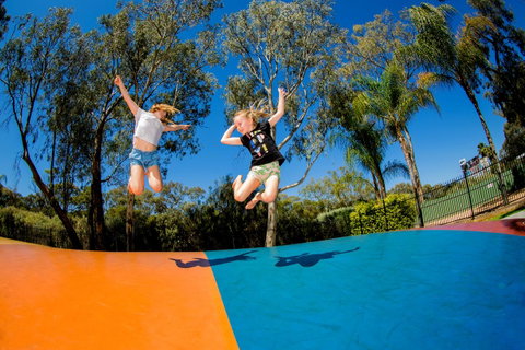 BIG4 Renmark Riverfront Holiday Park - Accommodation Georgetown 37