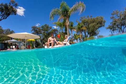 BIG4 Renmark Riverfront Holiday Park - Accommodation Georgetown 3