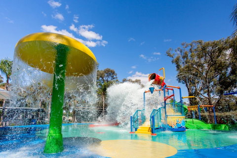 BIG4 Renmark Riverfront Holiday Park - Accommodation Georgetown 11