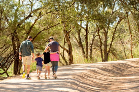 BIG4 Renmark Riverfront Holiday Park - Accommodation Georgetown 13