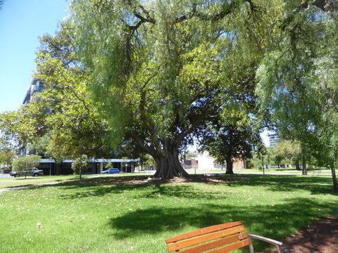 ADELAIDE CENTRAL APARTMENT - 3BR, 2BATH & CARPARK - Accommodation Georgetown 30