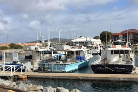 Port Lincoln Shark Apartment 2 - Accommodation Georgetown 17